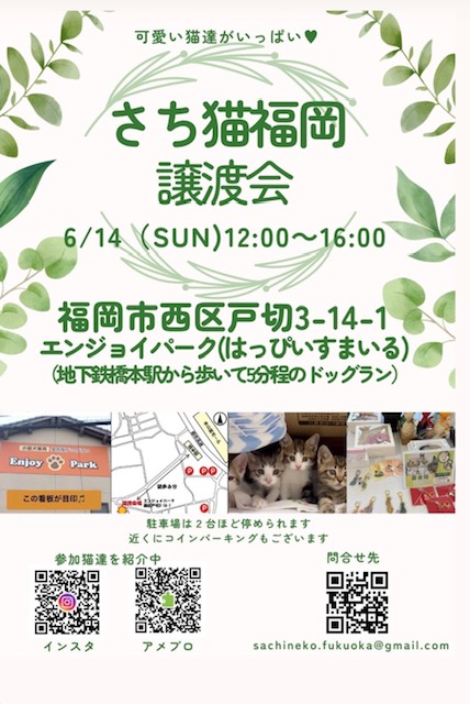 さち猫福岡譲渡会 6/14