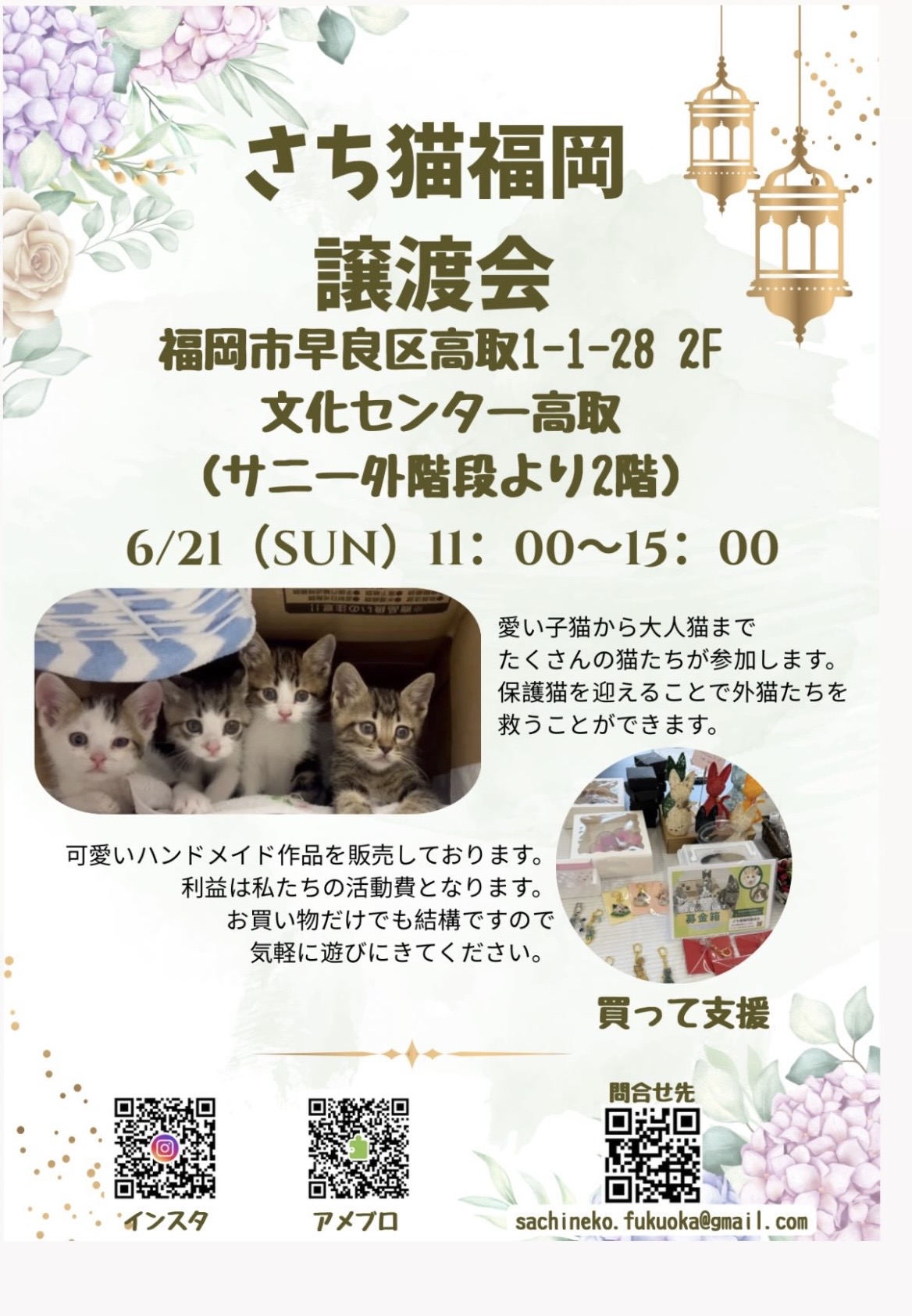 さち猫福岡譲渡会 6/21