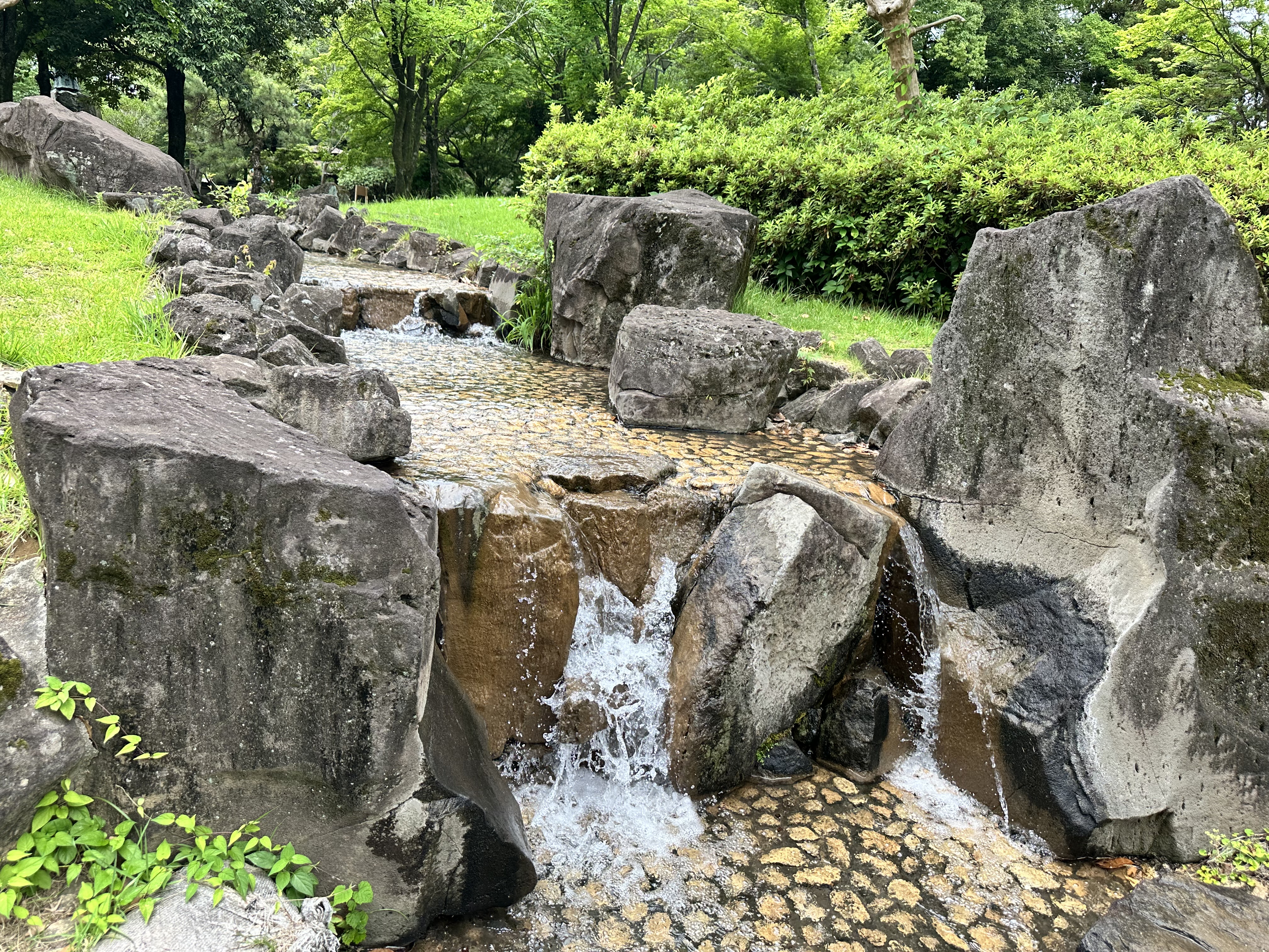 武蔵塚公園2