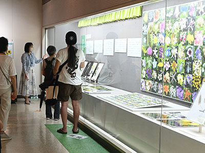 自然館ミュージアムトーク