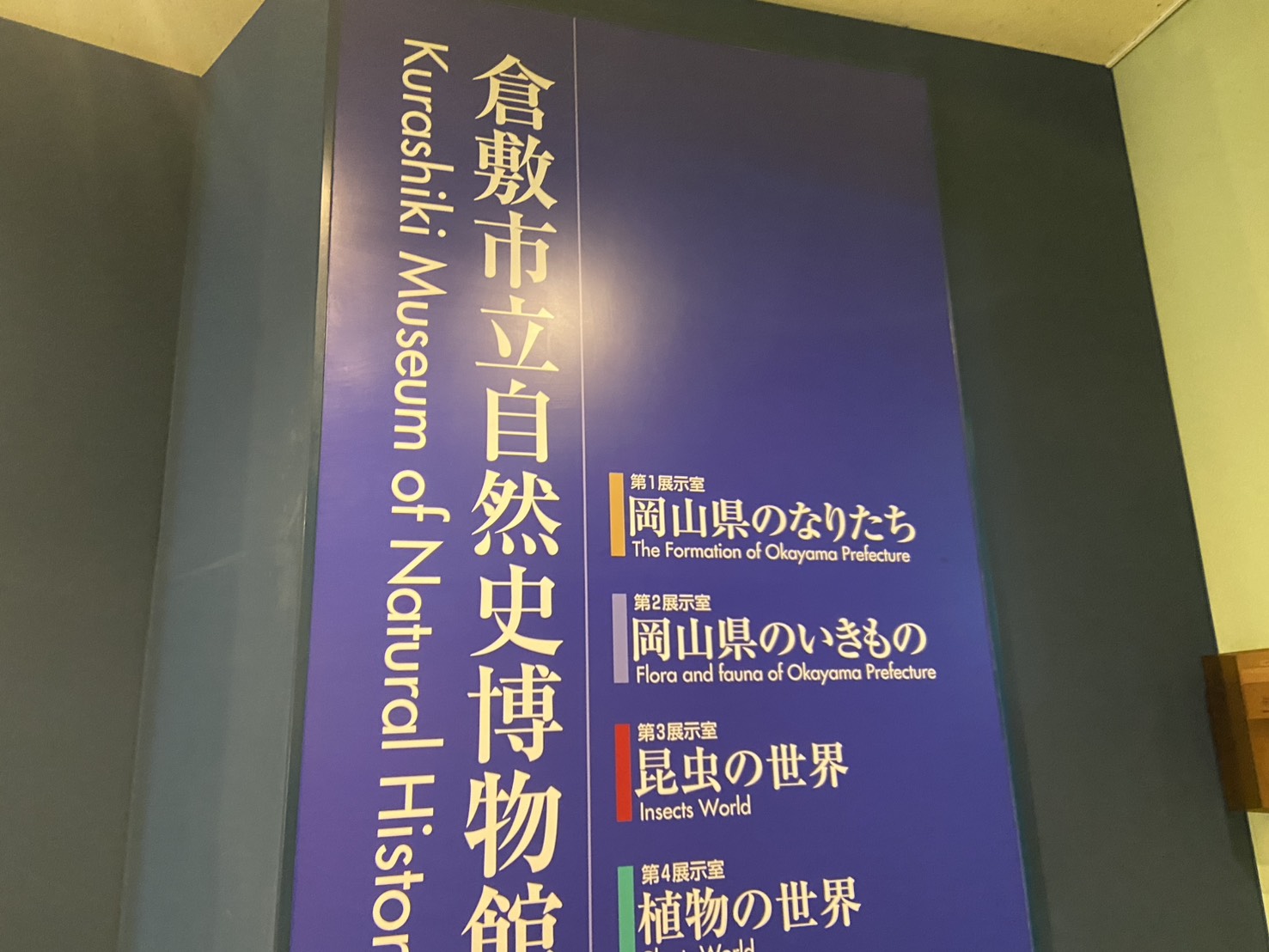 大人150円!夏休みは倉敷の自然史博物館へ