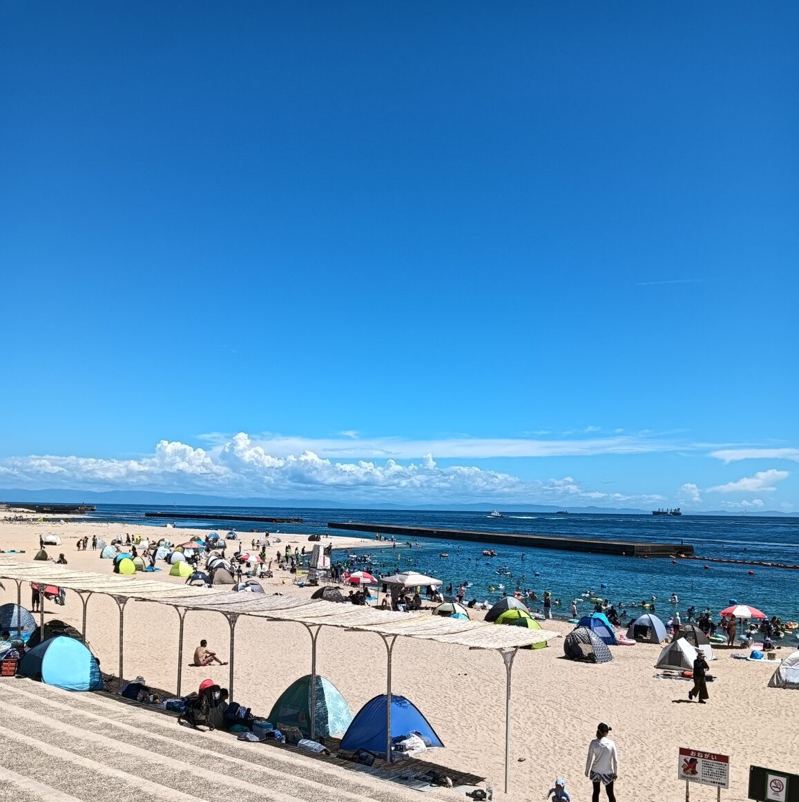 橋×夕日×海!アジュール舞子が今年も開幕