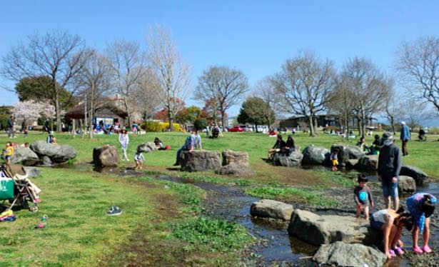 水前寺江津湖公園広木地区