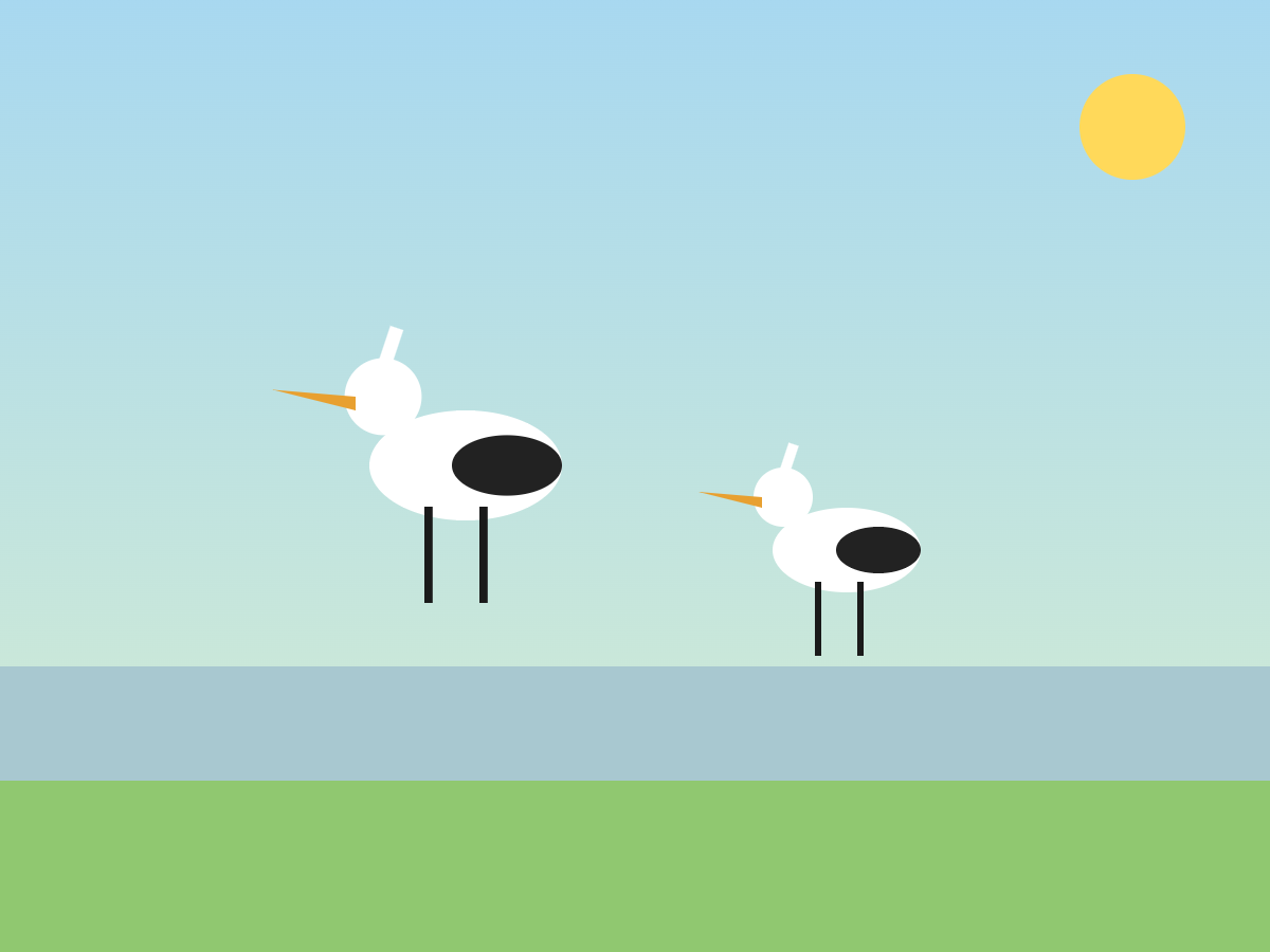 コウノトリ野鳥観察会(イメージ)