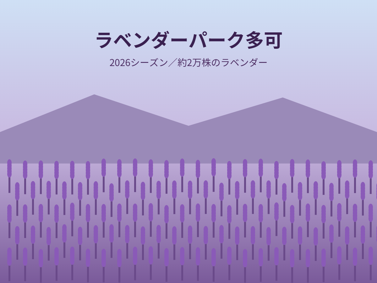 ラベンダーパーク多可 2026(イメージ)
