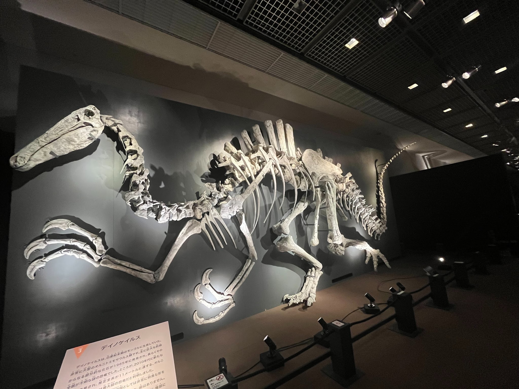 大恐竜展