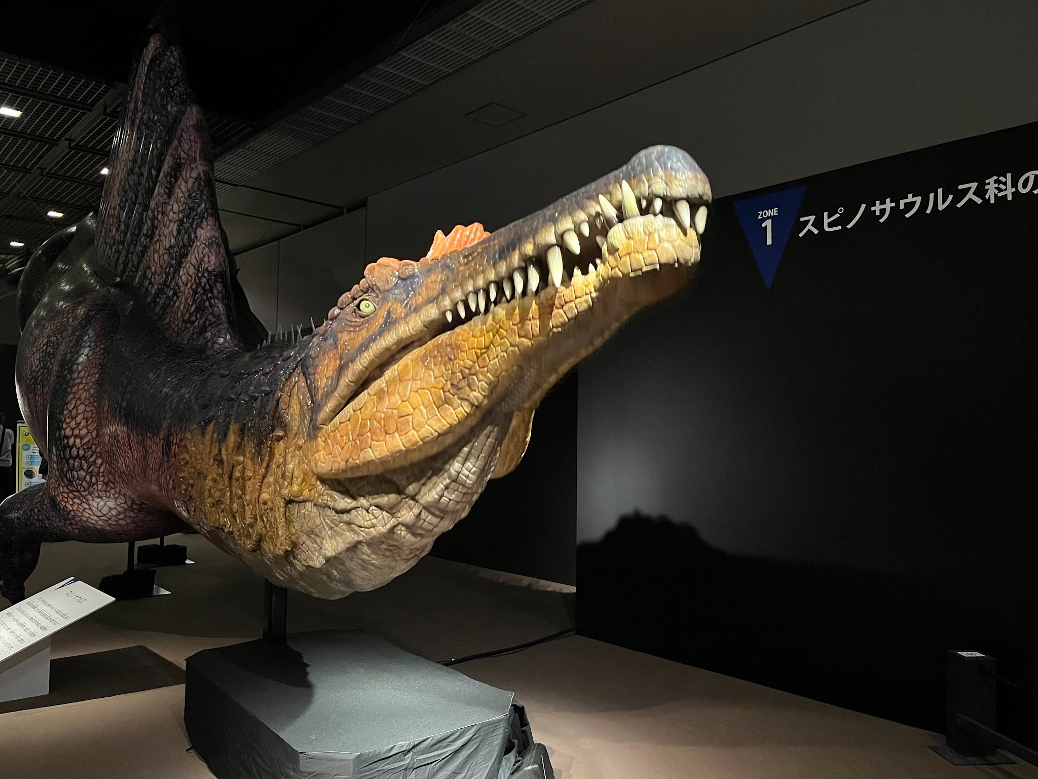 大恐竜展