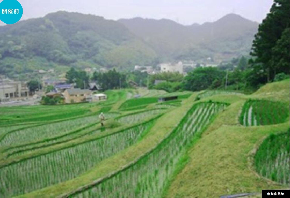 奥葉山の棚田から新善光寺へ