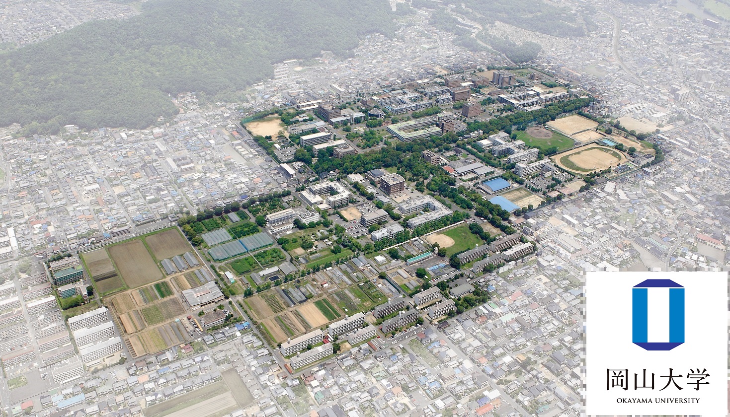光と視覚を学ぶ科学体験「ひらめき☆ときめきサイエンス」