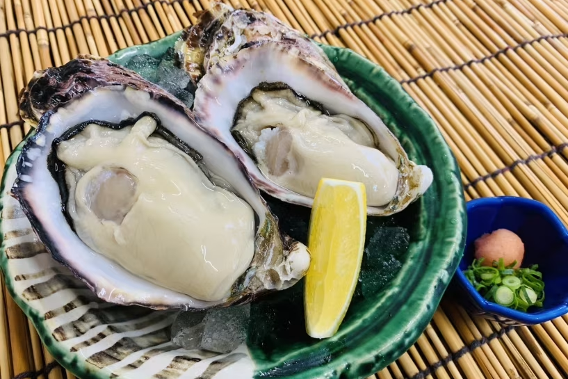 夏限定グランピング!希少なつみ牡蠣付き夏休み旅行プラン