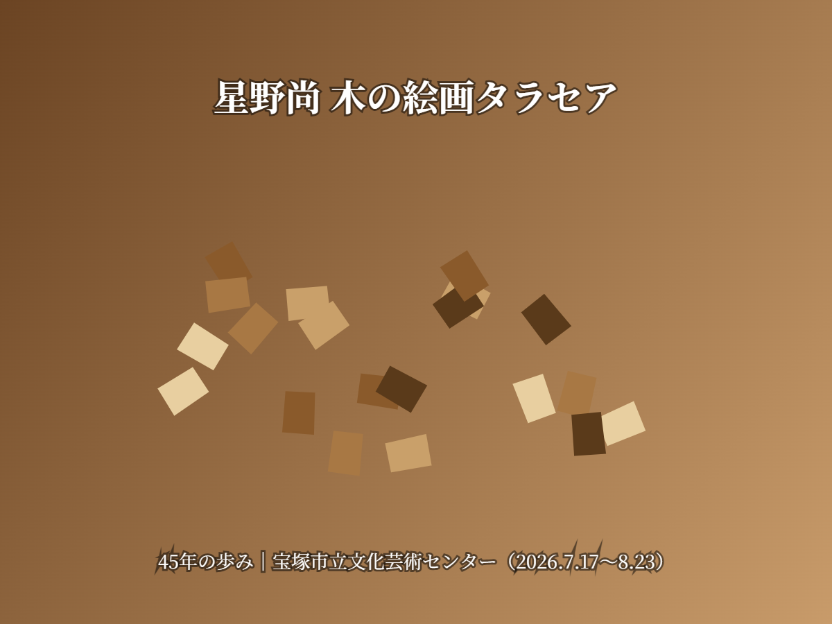 星野尚 タラセア展(イメージ)